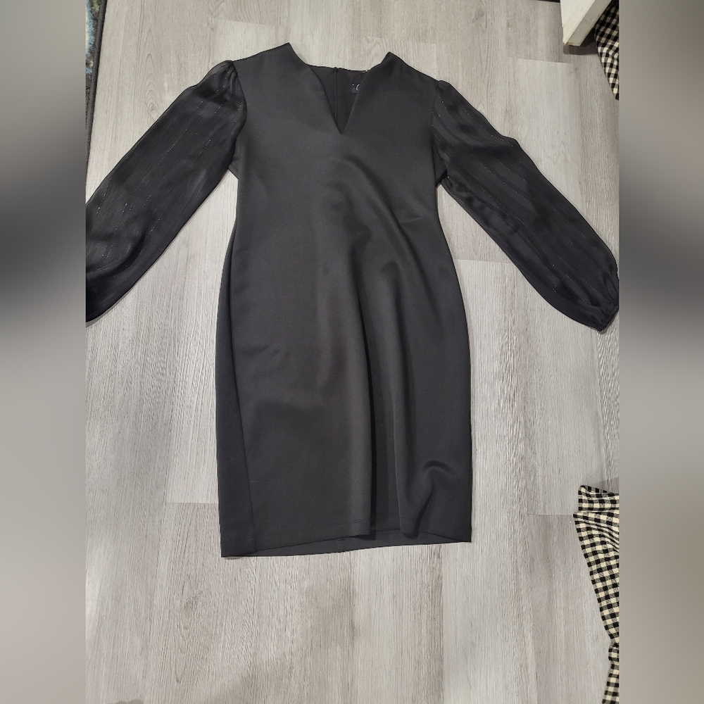 Elegant Black Dress with Sheer Sleeves